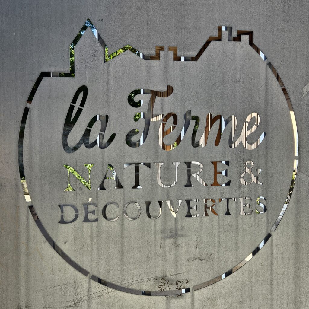 MARIGAMI origami atelier Nature et découverte 2024 portail