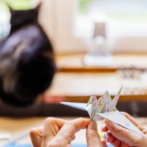 MARIGAMI origami oiseau qui bat des ailes