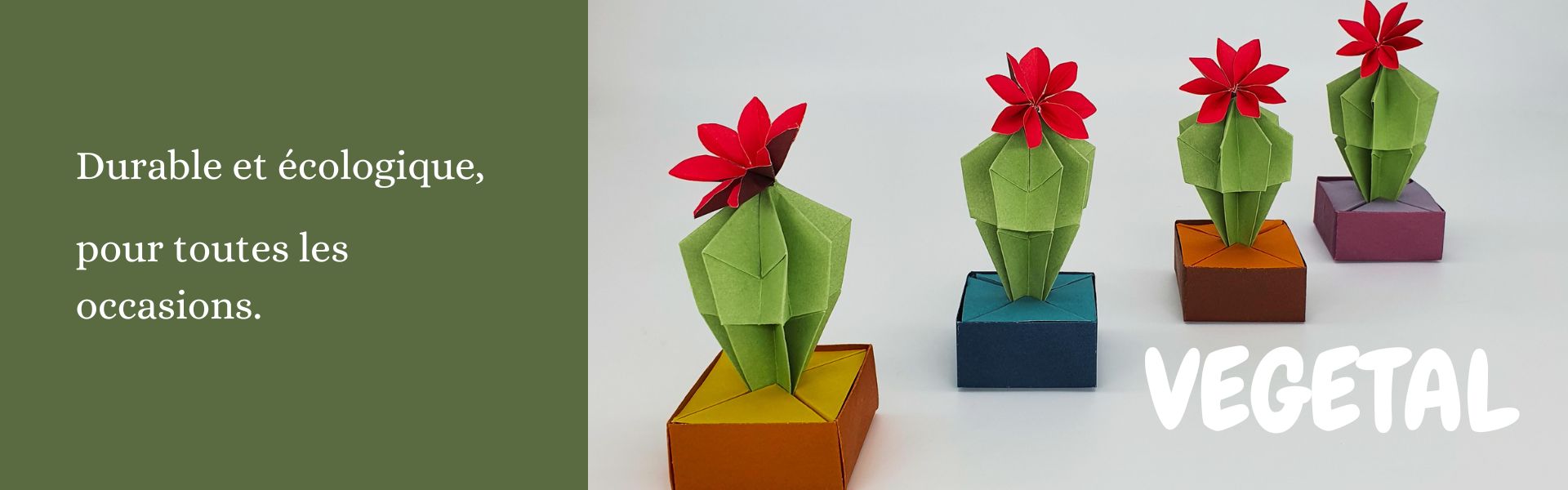 marigami site web VEGETAL Durable et écologique, pour toutes les occasions.