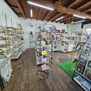 MARIGAMI ET CIE fond de la boutique