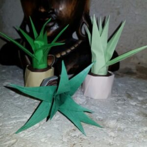 MARIGAMI origami plante sédum