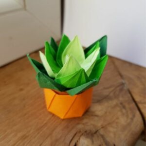 MARIGAMI origami sédum pot